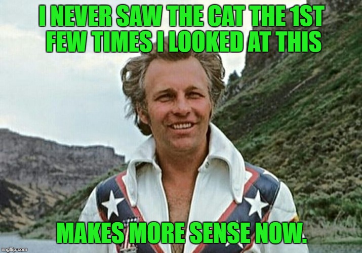 I NEVER SAW THE CAT THE 1ST FEW TIMES I LOOKED AT THIS MAKES MORE SENSE NOW. | made w/ Imgflip meme maker