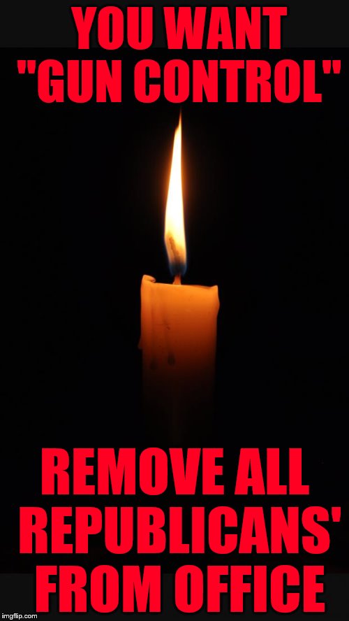 love candle | YOU WANT "GUN CONTROL"; REMOVE ALL REPUBLICANS' FROM OFFICE | image tagged in love candle | made w/ Imgflip meme maker