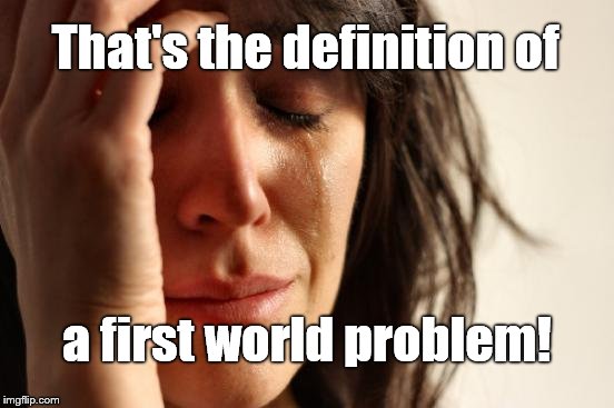 First World Problems Meme | That's the definition of a first world problem! | image tagged in memes,first world problems | made w/ Imgflip meme maker