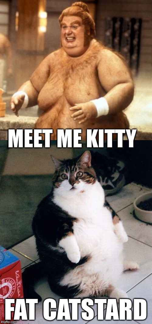 MEET ME KITTY; FAT CATSTARD | image tagged in fat bastard,fat cat,memes | made w/ Imgflip meme maker