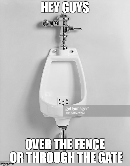 are you a fly guy? | HEY GUYS; OVER THE FENCE OR THROUGH THE GATE | image tagged in urinal | made w/ Imgflip meme maker