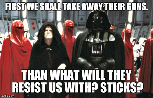 FIRST WE SHALL TAKE AWAY THEIR GUNS. THAN WHAT WILL THEY RESIST US WITH? STICKS? | image tagged in gun control | made w/ Imgflip meme maker