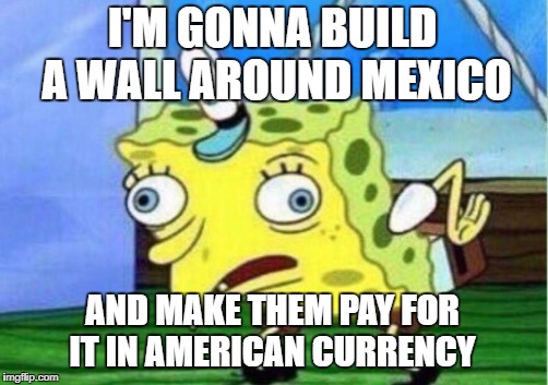 Mocking Spongebob Meme | I'M GONNA BUILD A WALL AROUND MEXICO; AND MAKE THEM PAY FOR IT IN AMERICAN CURRENCY | image tagged in memes,mocking spongebob | made w/ Imgflip meme maker