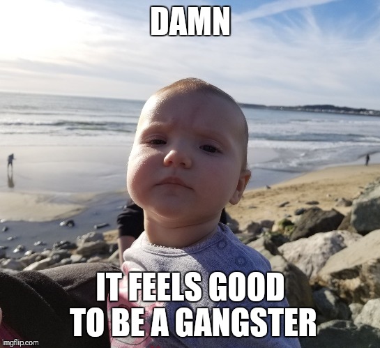 DAMN; IT FEELS GOOD TO BE A GANGSTER | image tagged in og baby | made w/ Imgflip meme maker