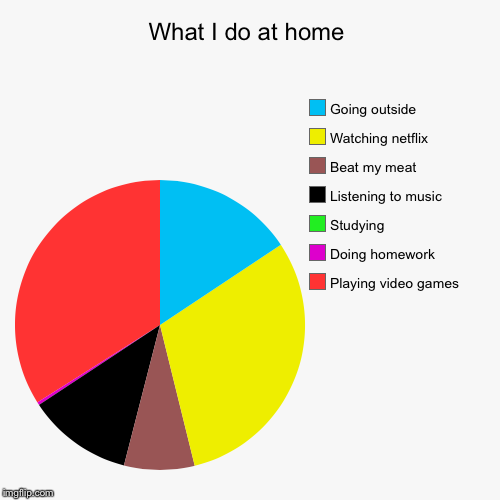 What I do at home | Playing video games, Doing homework, Studying, Listening to music, Beat my meat, Watching netflix, Going outside | image tagged in funny,pie charts | made w/ Imgflip chart maker