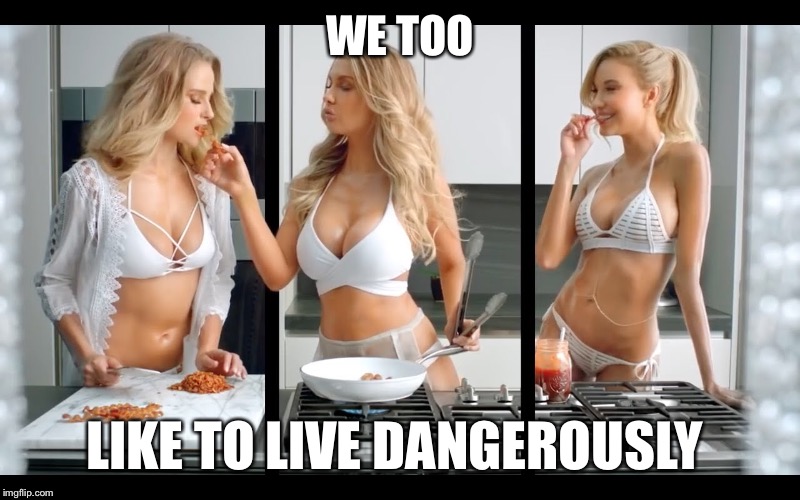 WE TOO LIKE TO LIVE DANGEROUSLY | made w/ Imgflip meme maker