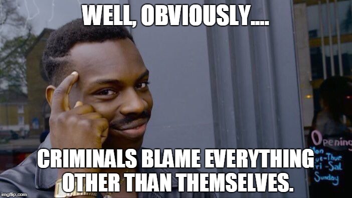 Roll Safe Think About It Meme | WELL, OBVIOUSLY.... CRIMINALS BLAME EVERYTHING OTHER THAN THEMSELVES. | image tagged in memes,roll safe think about it | made w/ Imgflip meme maker