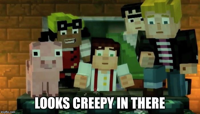 LOOKS CREEPY IN THERE | image tagged in minecraft story mode image 2 | made w/ Imgflip meme maker