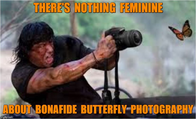 THERE'S  NOTHING  FEMININE ABOUT  BONAFIDE  BUTTERFLY  PHOTOGRAPHY | made w/ Imgflip meme maker