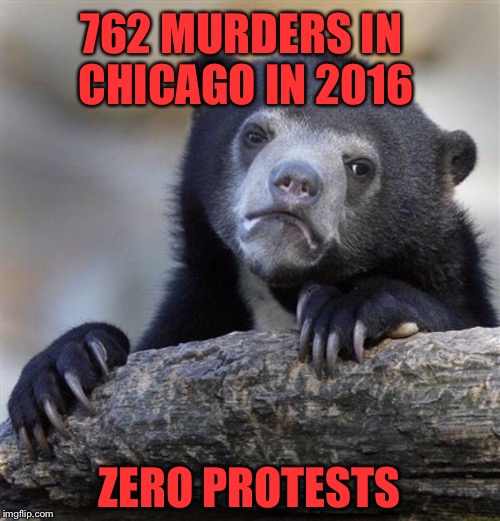 sad bear | 762 MURDERS IN CHICAGO IN 2016; ZERO PROTESTS | image tagged in sad bear | made w/ Imgflip meme maker