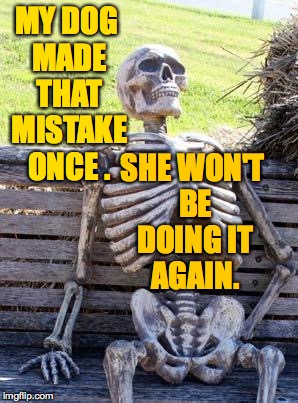 Waiting Skeleton Meme | MY DOG MADE THAT MISTAKE ONCE . SHE WON'T BE DOING IT AGAIN. | image tagged in memes,waiting skeleton | made w/ Imgflip meme maker