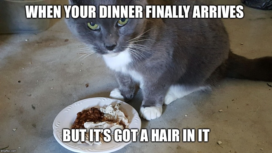 WHEN YOUR DINNER FINALLY ARRIVES; BUT IT’S GOT A HAIR IN IT | image tagged in this is not what i ordered | made w/ Imgflip meme maker