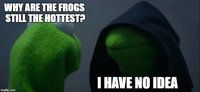 Evil Kermit Meme | WHY ARE THE FROGS STILL THE HOTTEST? I HAVE NO IDEA | image tagged in memes,evil kermit | made w/ Imgflip meme maker