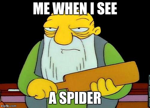 That's a paddlin' | ME WHEN I SEE; A SPIDER | image tagged in memes,that's a paddlin' | made w/ Imgflip meme maker