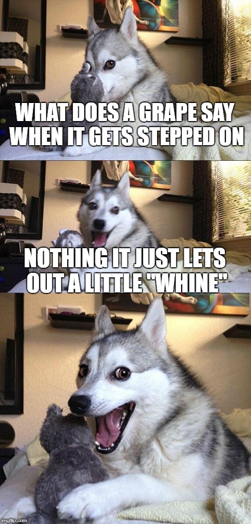 Bad Pun Dog Meme | WHAT DOES A GRAPE SAY WHEN IT GETS STEPPED ON; NOTHING IT JUST LETS OUT A LITTLE "WHINE" | image tagged in memes,bad pun dog | made w/ Imgflip meme maker