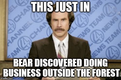 Ron Burgundy Meme | THIS JUST IN; BEAR DISCOVERED DOING BUSINESS OUTSIDE THE FOREST | image tagged in memes,ron burgundy | made w/ Imgflip meme maker