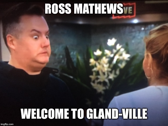 Ross Mathews | ROSS MATHEWS; WELCOME TO GLAND-VILLE | image tagged in ross,brandi,glanville,mathews,big brother,celebrity | made w/ Imgflip meme maker