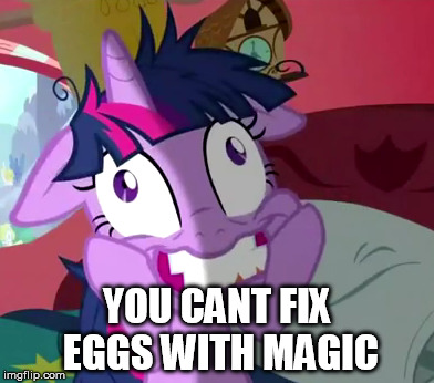 YOU CANT FIX EGGS WITH MAGIC | made w/ Imgflip meme maker