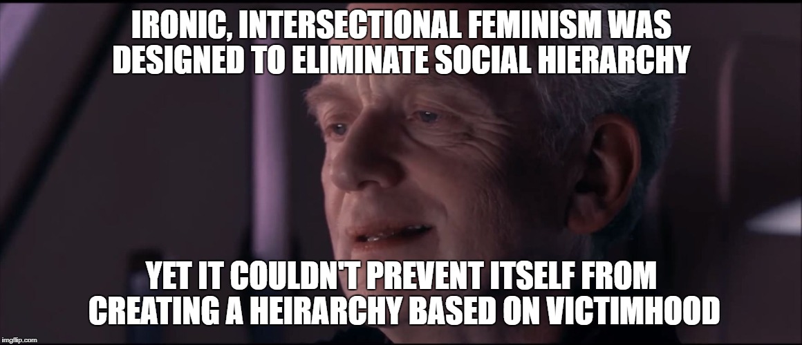 Palpatine Ironic  | IRONIC, INTERSECTIONAL FEMINISM WAS DESIGNED TO ELIMINATE SOCIAL HIERARCHY; YET IT COULDN'T PREVENT ITSELF FROM CREATING A HEIRARCHY BASED ON VICTIMHOOD | image tagged in palpatine ironic | made w/ Imgflip meme maker