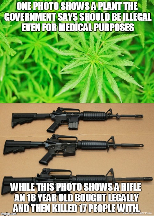 Government Dollars and Sense | ONE PHOTO SHOWS A PLANT THE GOVERNMENT SAYS SHOULD BE ILLEGAL EVEN FOR MEDICAL PURPOSES; WHILE THIS PHOTO SHOWS A RIFLE AN 18 YEAR OLD BOUGHT LEGALLY AND THEN KILLED 17 PEOPLE WITH. | image tagged in ar15,rifle,weed,marijuana,pot,gun control | made w/ Imgflip meme maker
