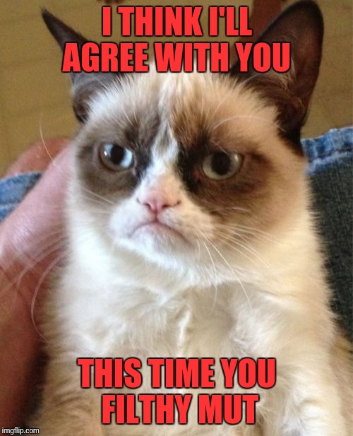 Grumpy Cat Meme | I THINK I'LL AGREE WITH YOU THIS TIME YOU FILTHY MUT | image tagged in memes,grumpy cat | made w/ Imgflip meme maker