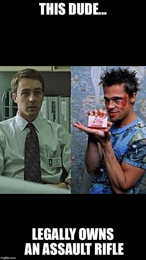 Tyler Durden | THIS DUDE... LEGALLY OWNS AN ASSAULT RIFLE | image tagged in fight club | made w/ Imgflip meme maker