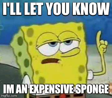 I'll Have You Know Spongebob Meme | I'LL LET YOU KNOW; IM AN EXPENSIVE SPONGE | image tagged in memes,ill have you know spongebob | made w/ Imgflip meme maker