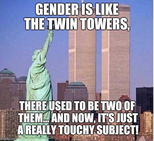 Nuts and bolts | GENDER IS LIKE THE TWIN TOWERS, THERE USED TO BE TWO OF THEM... AND NOW, IT'S JUST A REALLY TOUCHY SUBJECT! | image tagged in twin towers,gender,funny,wtc | made w/ Imgflip meme maker
