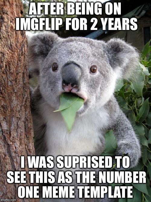 Surprised Koala Meme | AFTER BEING ON IMGFLIP FOR 2 YEARS; I WAS SUPRISED TO SEE THIS AS THE NUMBER ONE MEME TEMPLATE | image tagged in memes,surprised koala | made w/ Imgflip meme maker