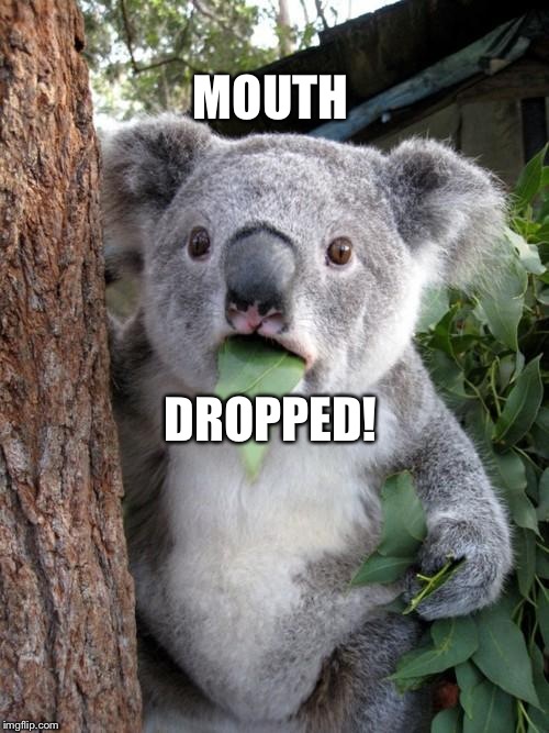 Surprised Koala Meme | MOUTH; DROPPED! | image tagged in memes,surprised koala | made w/ Imgflip meme maker