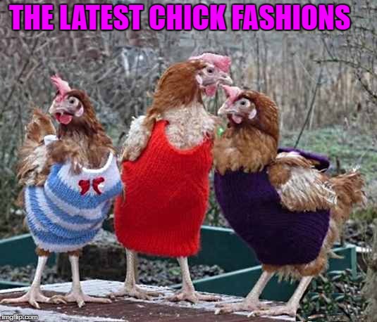 The latest chick fashions  | THE LATEST CHICK FASHIONS | image tagged in hot chicks | made w/ Imgflip meme maker