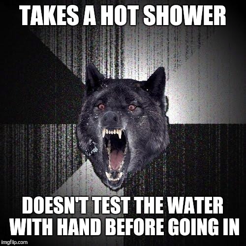 Insanity Wolf | TAKES A HOT SHOWER; DOESN'T TEST THE WATER WITH HAND BEFORE GOING IN | image tagged in memes,insanity wolf | made w/ Imgflip meme maker