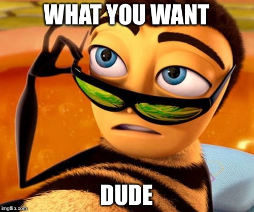 Bee Movie | WHAT YOU WANT; DUDE | image tagged in bee movie | made w/ Imgflip meme maker