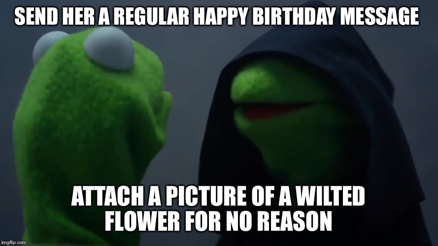 Kermit Dark Side | SEND HER A REGULAR HAPPY BIRTHDAY MESSAGE; ATTACH A PICTURE OF A WILTED FLOWER FOR NO REASON | image tagged in kermit dark side | made w/ Imgflip meme maker