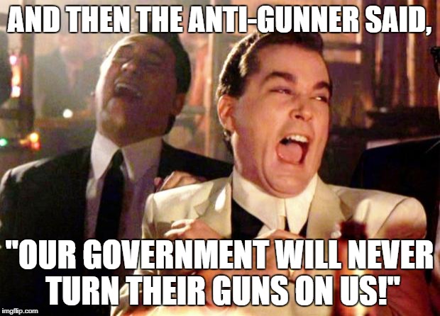 Goodfellas Laugh | AND THEN THE ANTI-GUNNER SAID, "OUR GOVERNMENT WILL NEVER TURN THEIR GUNS ON US!" | image tagged in goodfellas laugh | made w/ Imgflip meme maker