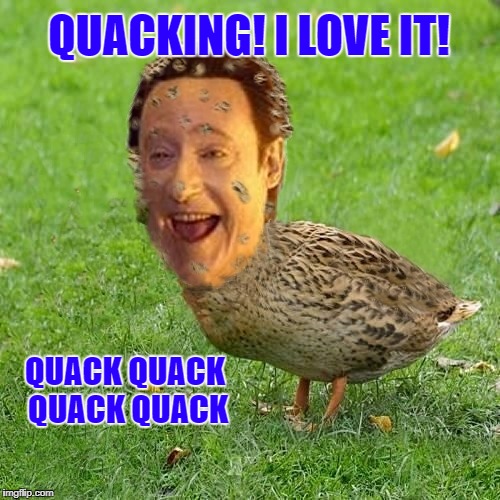 Dataduck | QUACKING! I LOVE IT! QUACK QUACK QUACK QUACK | image tagged in the data ducky,lucky you glad you like the duck,quack to the quackers in charge,go duck duck data go memes | made w/ Imgflip meme maker