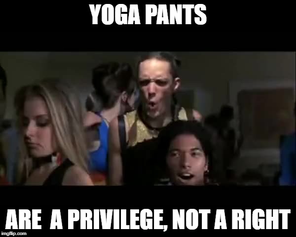 The Privilege of Yoga Pants | YOGA PANTS; ARE  A PRIVILEGE, NOT A RIGHT | image tagged in hackers,movie quotes,yoga pants | made w/ Imgflip meme maker