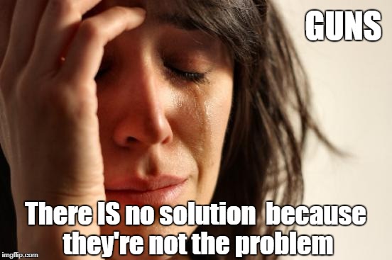 First World Problems Meme | GUNS; There IS no solution  because they're not the problem | image tagged in memes,first world problems | made w/ Imgflip meme maker
