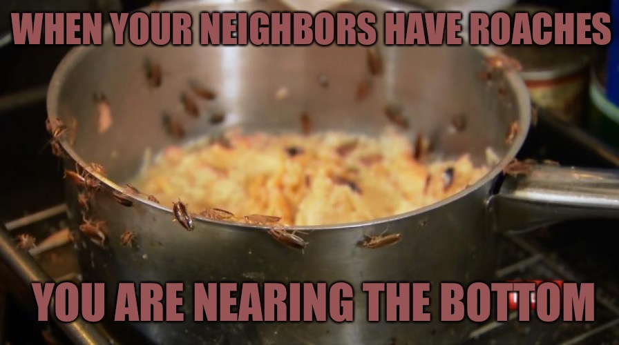 The Roach Truth | WHEN YOUR NEIGHBORS HAVE ROACHES; YOU ARE NEARING THE BOTTOM | image tagged in roaches,bottom,losers,ghetto,hoes,skank | made w/ Imgflip meme maker