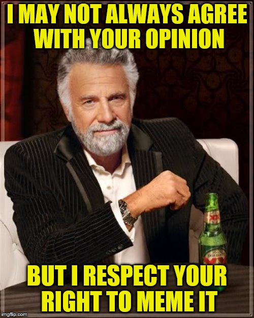 Everyone has one---an opinion---that is |  I MAY NOT ALWAYS AGREE WITH YOUR OPINION; BUT I RESPECT YOUR RIGHT TO MEME IT | image tagged in memes,the most interesting man in the world,opinions,respect | made w/ Imgflip meme maker