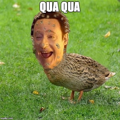 A ha ha | QUA QUA | image tagged in the data ducky,dont be duckless in deatltle lt riker,waa waa,anybody for duck duck goose soup,too funny | made w/ Imgflip meme maker