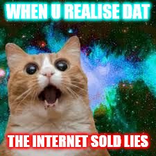 Cat in space | WHEN U REALISE DAT; THE INTERNET SOLD LIES | image tagged in cat in space | made w/ Imgflip meme maker