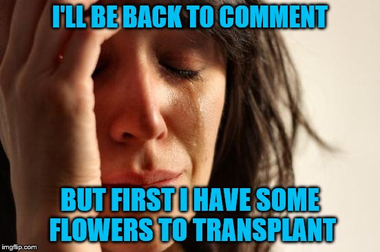 First World Problems Meme | I'LL BE BACK TO COMMENT BUT FIRST I HAVE SOME FLOWERS TO TRANSPLANT | image tagged in memes,first world problems | made w/ Imgflip meme maker