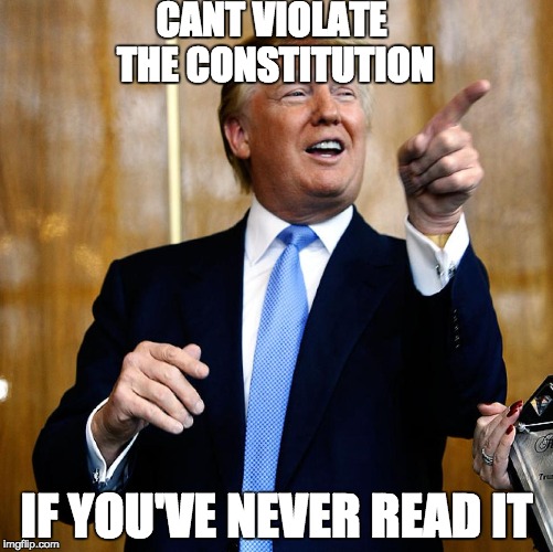 Donald Trump | CANT VIOLATE THE CONSTITUTION; IF YOU'VE NEVER READ IT | image tagged in donald trump | made w/ Imgflip meme maker