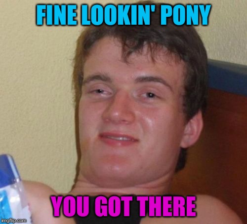 10 Guy Meme | FINE LOOKIN' PONY YOU GOT THERE | image tagged in memes,10 guy | made w/ Imgflip meme maker