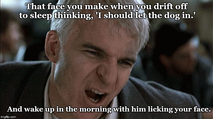 That face you make when you drift off to sleep thinking, 'I should let the dog in.'; And wake up in the morning with him licking your face. | image tagged in steve martin | made w/ Imgflip meme maker