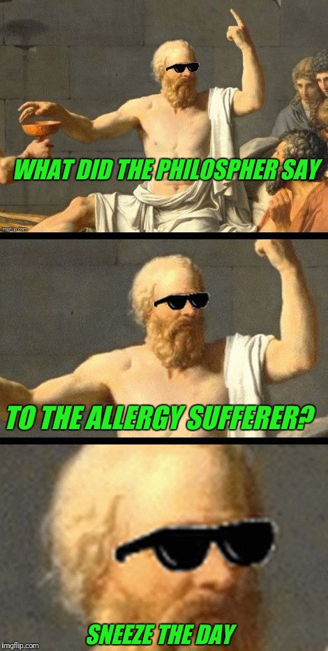 socrates sunglasses | WHAT DID THE PHILOSPHER SAY; TO THE ALLERGY SUFFERER? SNEEZE THE DAY | image tagged in socrates sunglasses | made w/ Imgflip meme maker