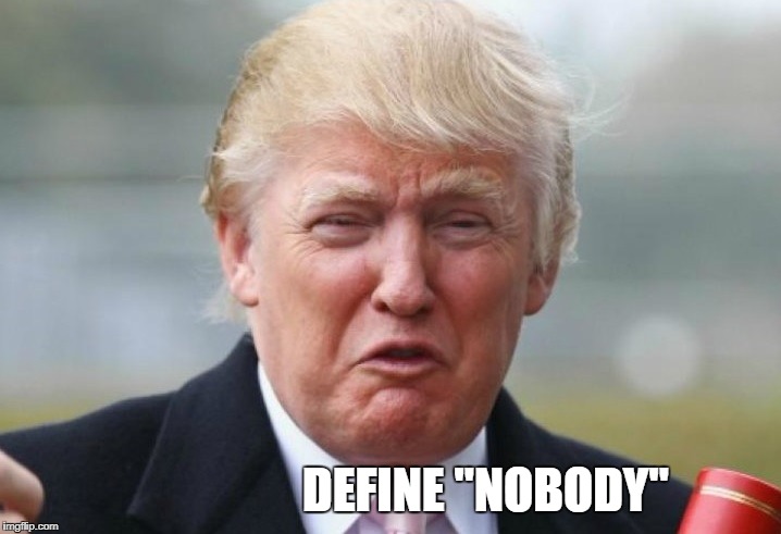 Trump Crybaby | DEFINE "NOBODY" | image tagged in trump crybaby | made w/ Imgflip meme maker