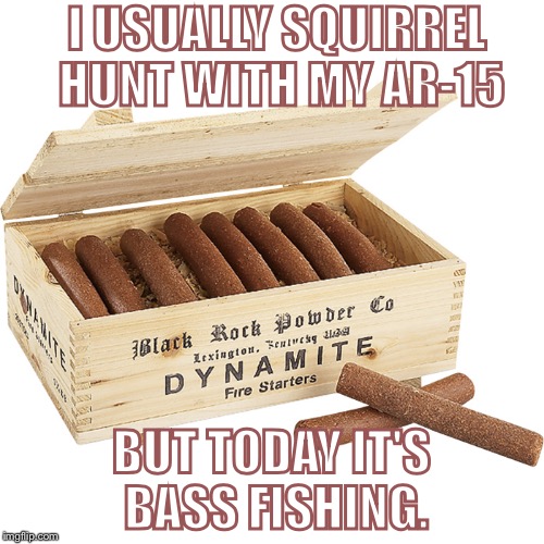 I USUALLY SQUIRREL HUNT WITH MY AR-15; BUT TODAY IT'S BASS FISHING. | image tagged in overkill | made w/ Imgflip meme maker