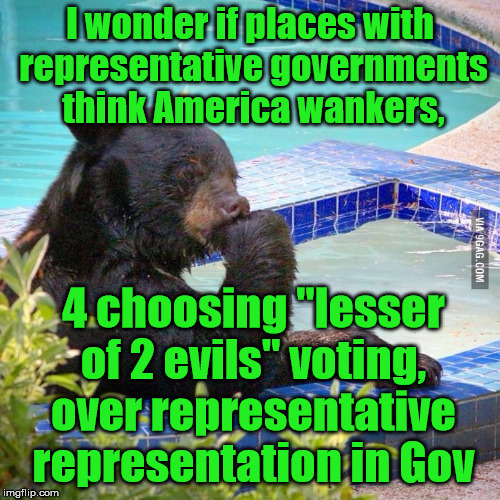 Ponder bear | I wonder if places with representative governments think America wankers, 4 choosing "lesser of 2 evils" voting, over representative representation in Gov | image tagged in ponder bear,politics | made w/ Imgflip meme maker